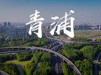 上海青浦公司注冊(cè)
